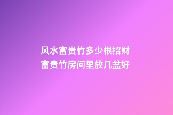 风水富贵竹多少根招财 富贵竹房间里放几盆好